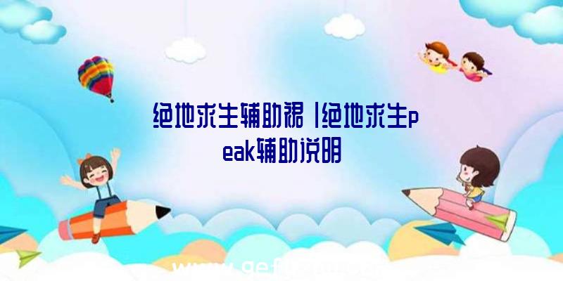 「绝地求生辅助裙」|绝地求生peak辅助说明